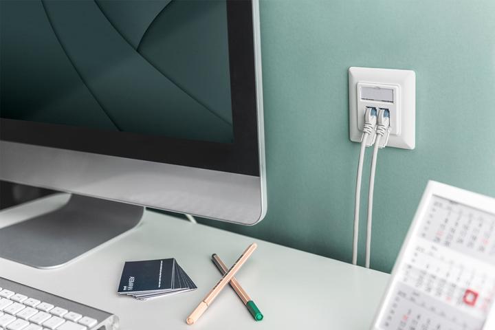 Actual product image Digitus CAT 6A Keystone Jack, shielded, 2 pieces tool-free connection (Keystone module)