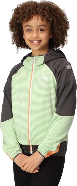 Image du produit Regatta - Veste softshell PRENTON - Enfant (104)