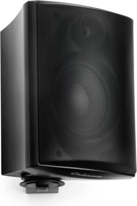 Actual product image Cabasse ZEF 17 TR BLACK (1 pair, 620 W)