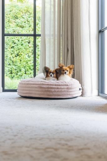 Productafbeelding Designed by Lotte Reza ligkussen (Hond)
