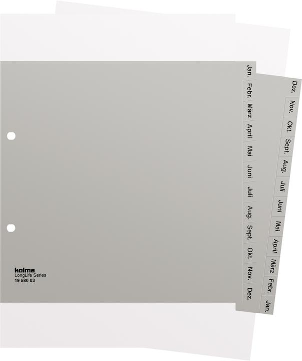 Immagine prodotto Kolma Indice A4 parzialmente opaco Dic-Gen (it) 12 pezzi grigio