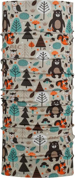 fox & bear