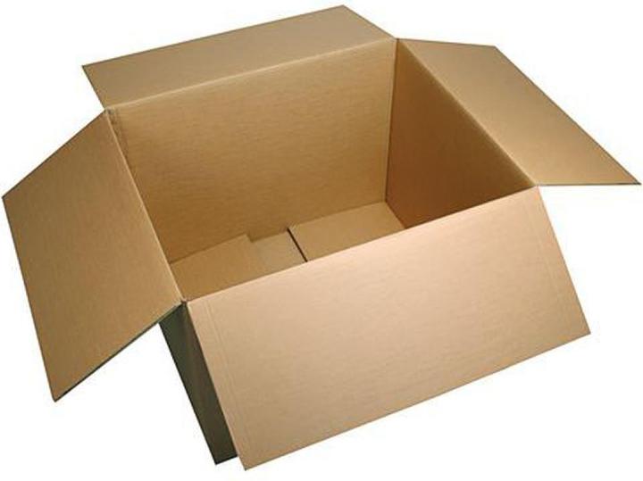 Image du produit Fourtwenty Kartonkiste für Stecklinge 55x33x22.5cm