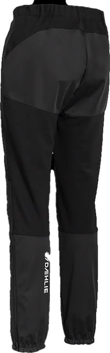 Image du produit Daehlie W Pants Wool 2.0 (L)