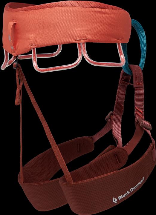 Actual product image Black Diamond Momentum Harness (M)