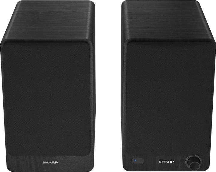 Actual product image Sharp CP-SS30 (1 pair, 60 W)