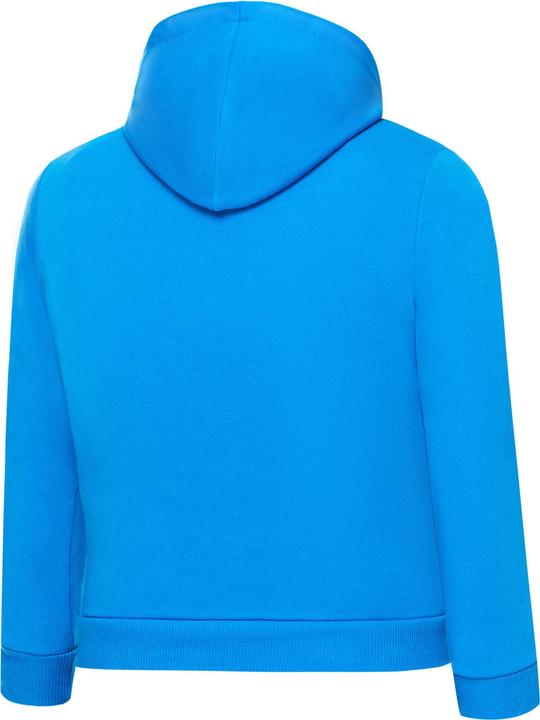 Produktbild Puma teamGOAL 23 Casuals Hoody Jr-656711 (128)