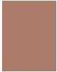 Actual product image Shiseido Synchro Skin Glow (Rose 5)