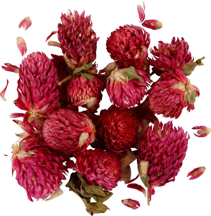 Image du produit Creativ Company Fleurs 15 g, Trèfle rouge (Fleurs séchées)