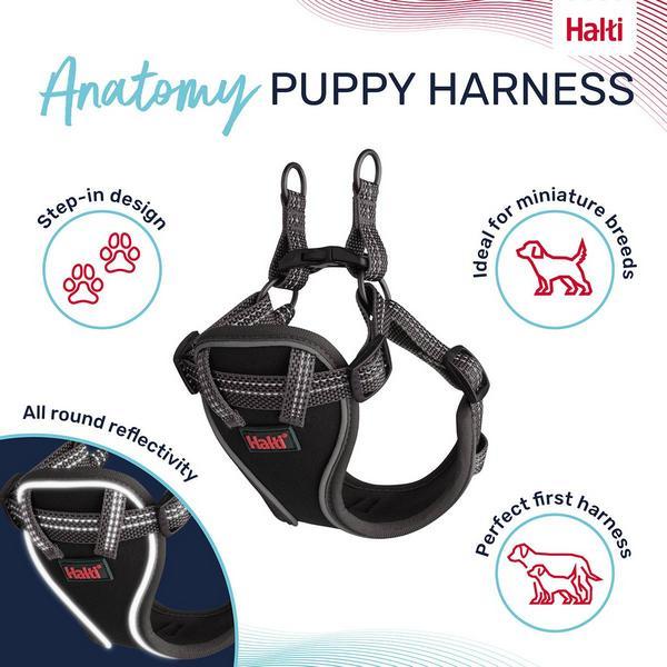 Actual product image Company of Animals Halti Anatomy XXS puppy harness (XXS, Dog)