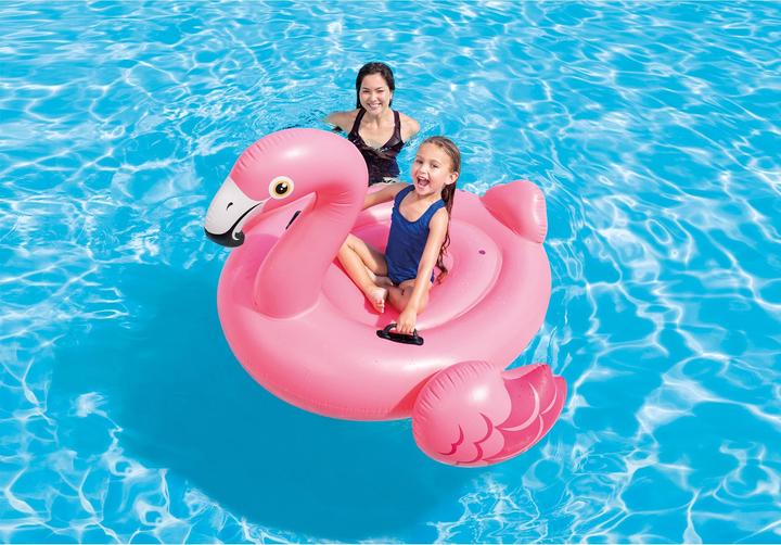 Image du produit Intex Flamingo Ride On