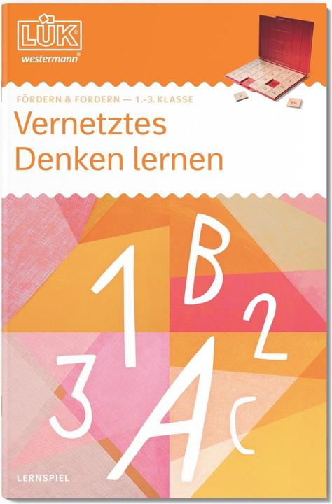 Energie-Label LÜK Vernetztes Denken lernen (Deutsch, Michael Junga, 2024)
