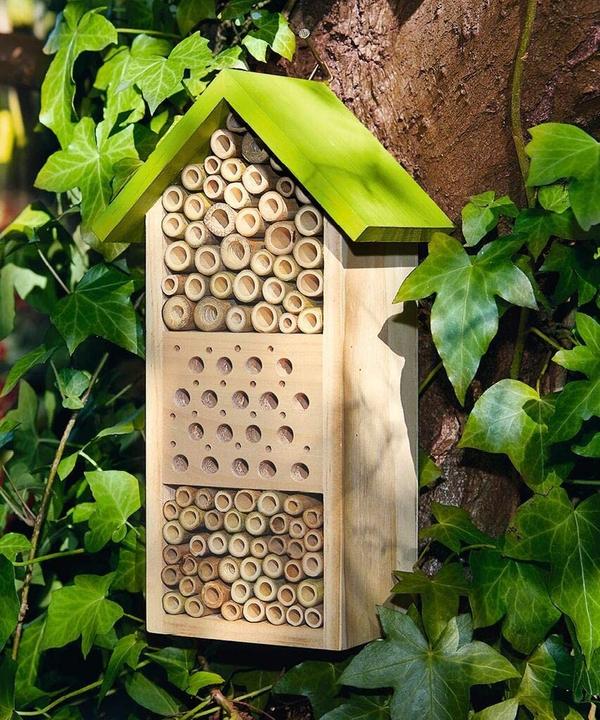 Productafbeelding Expeditie Natuur (Bijen)