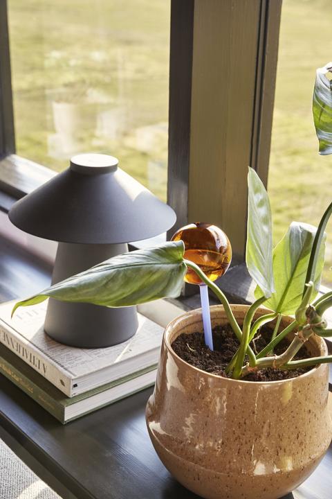 Produktbild Hübsch Flora Aqua globe (Bewässerungskugeln)