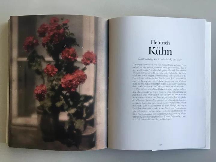 Produktbild Blumen in der Kunst (Deutsch, Kendra Wilson, 2019)