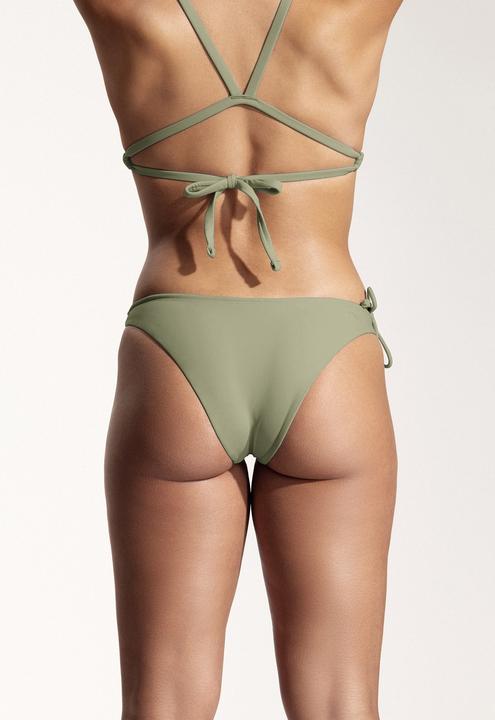 Vert sauge