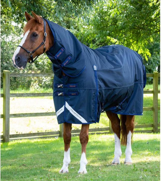 Produktbild Premier Equine Buster Storm Classic 420 g (213 cm)