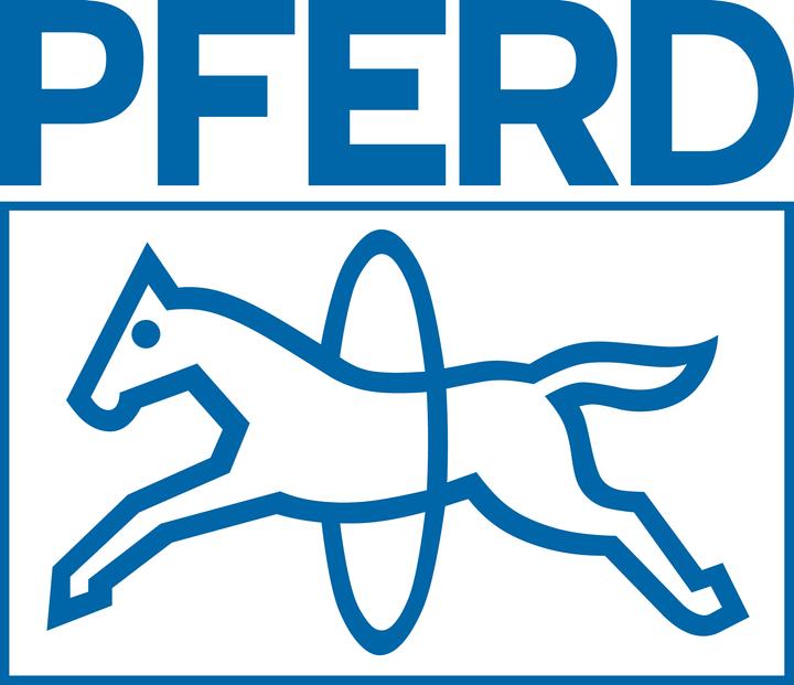 Produktbild Pferd Tiefenbegrenzerfeile 200 (Hieb 2, 200 mm)