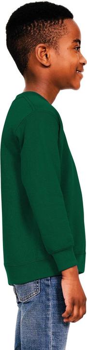 Image du produit Universal Textiles - Sweat - Enfant (152, 158)