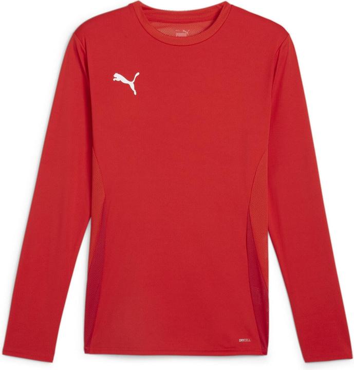 Puma teamGOAL LS Jersey