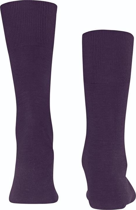 Actual product image Falke Airport SO (Single pack, 39 - 40)