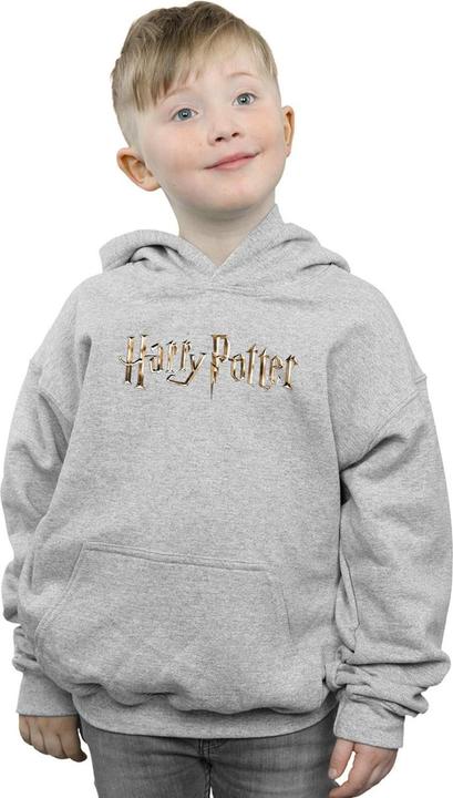 Image du produit - Sweat à capuche FULL COLOUR LOGO - Garçon (140, 146)