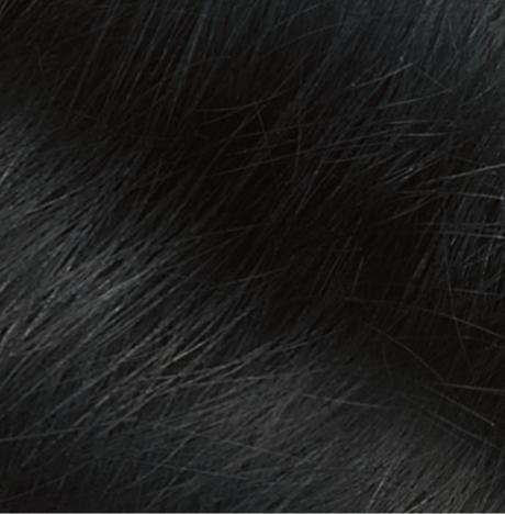 Actual product image Naturtint 2.1 negro azulado (2.1)