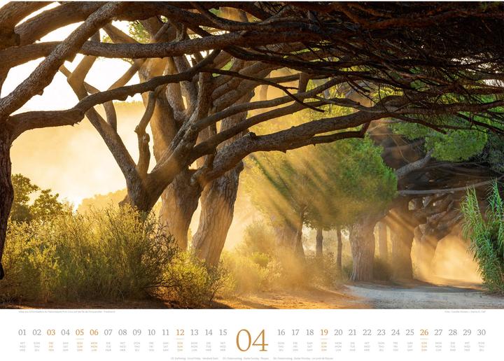 Immagine prodotto Morgenlicht Kalender 2026 (54 x 42 cm, Inglese, Francese, Tedesco)
