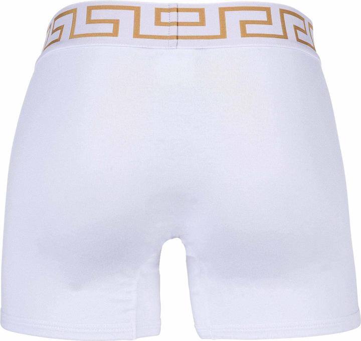 Immagine prodotto Versace Bi-Pack Trunk Jersey Topeka Bi-Stretch Cotton Organic New Logo (L, Confezione da 2)