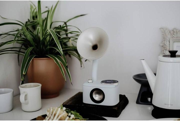Image du produit Sangean CP 100D (DAB+ DAB, DAB, FM, Bluetooth)
