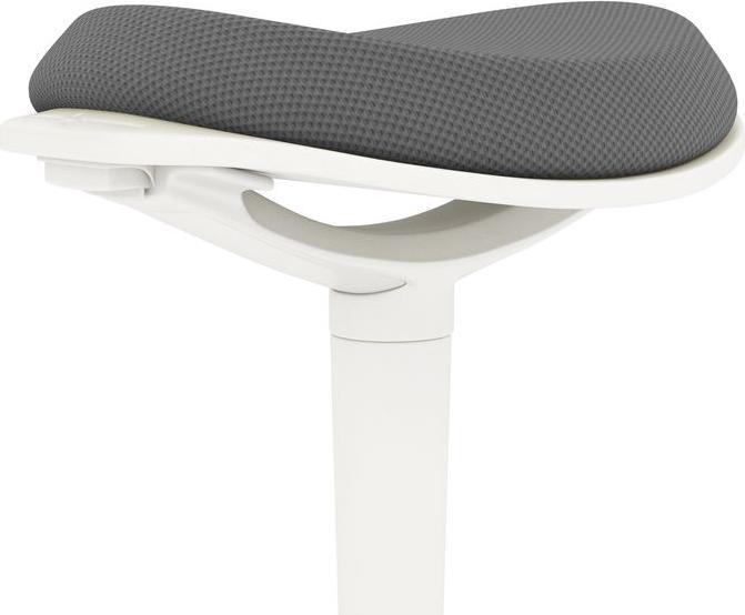 Actual product image Swisshandel24 Pendulum stool, ergonomic, height-adjustable, up to 120 kg, 42.5x35.5x56.5-71.5 cm, grey