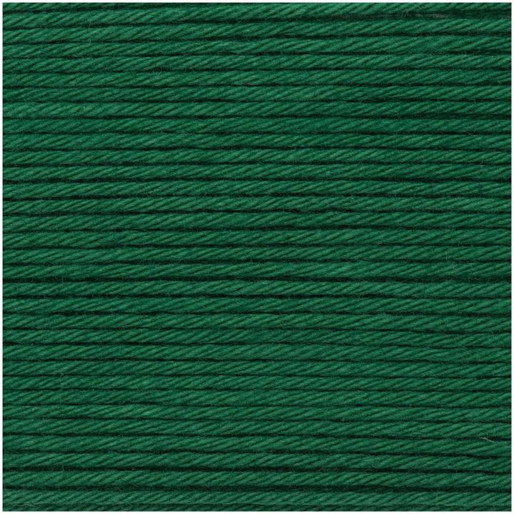 Image du produit Rico Design Laine Creative Ricorumi DK 25 g, Sapin (57.50 m)