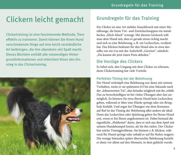 Actual product image Hunde Clicker-Box 36 Trainingskarten (German, Sabine Winkler, 2016)
