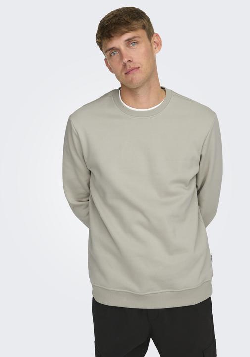 Produktbild Only & Sons Onsconnor Reg Crew Neck Sweat Noos (M)