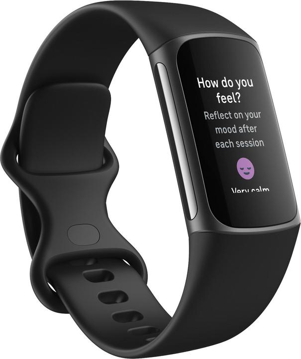 Image du produit Fitbit Pack cadeau du lot 5 (26.43 mm)