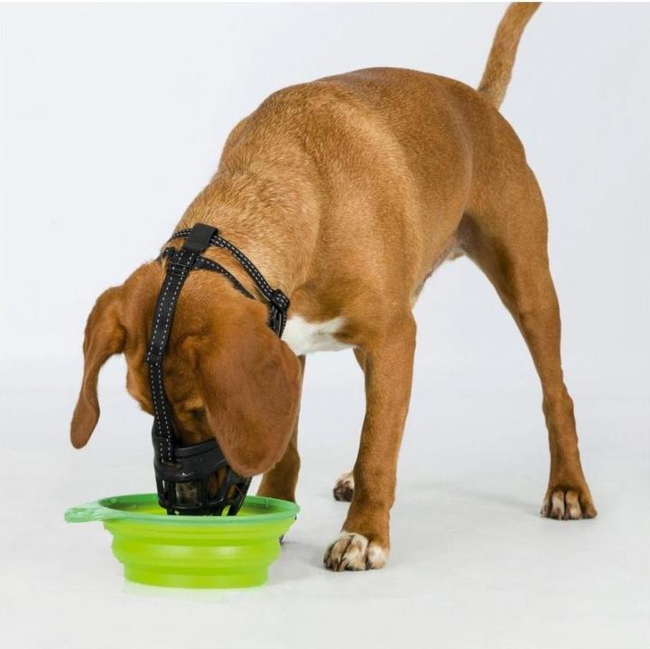 Immagine prodotto Trixie Museruola Museruola Flex L-XL (L, XL, Cane, Generale)