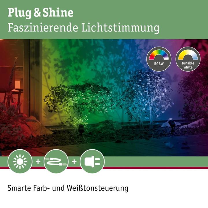 Actual product image Paulmann Plug & Shine Pike (330 lm, IP44)