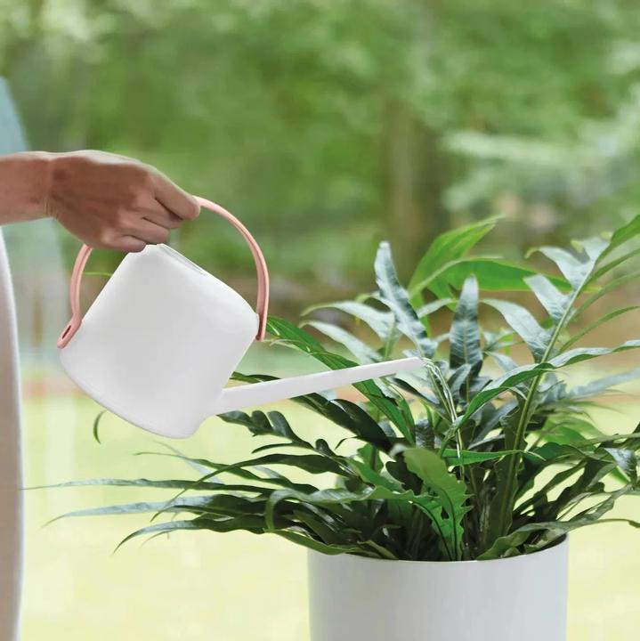 Produktbild Elho B.for Soft Giesskanne (1.70 l)