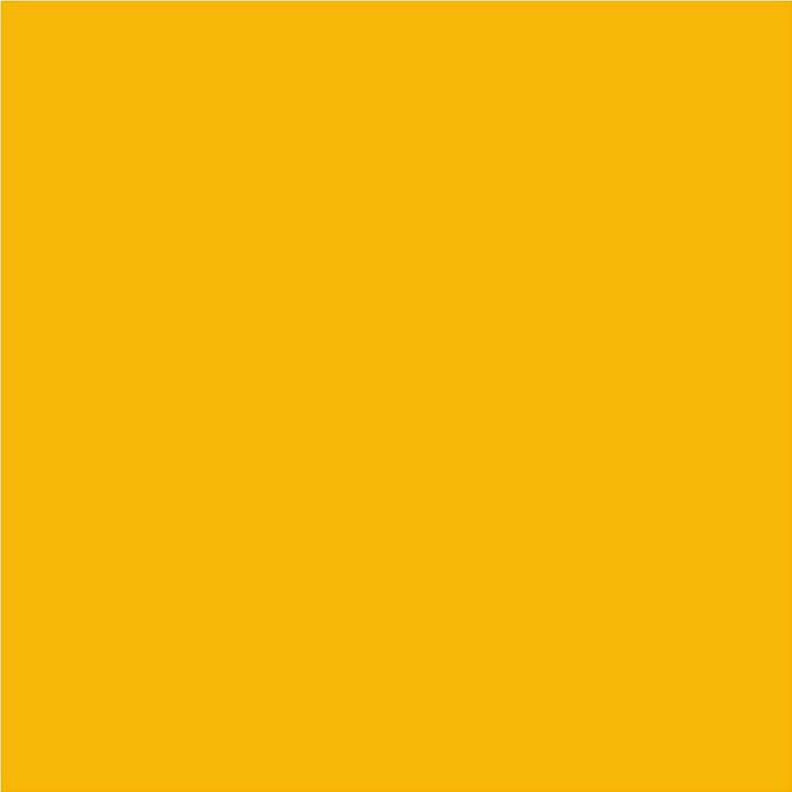 Immagine prodotto Schjerning Inchiostro da stampa Lino (Giallo, 250 ml)