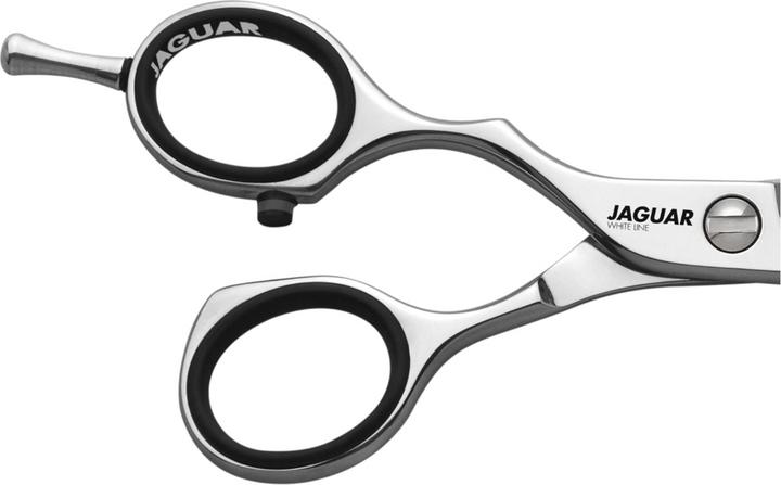 Image du produit Jaguar JP 38 Liens (13.34 cm)