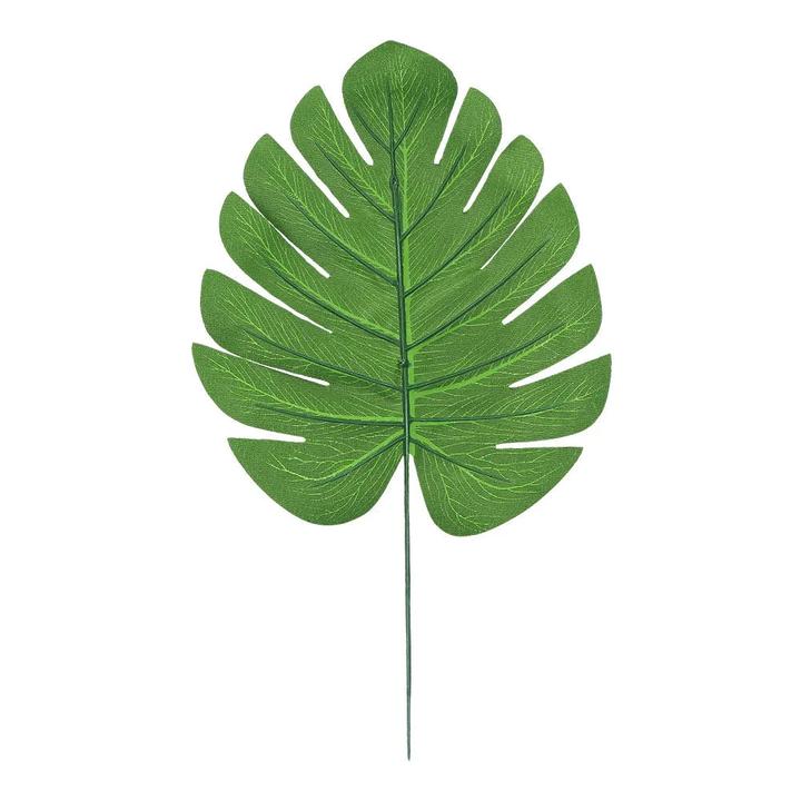 Actual product image Boland Palm leaves - Palm tree - 4 pieces