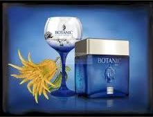 Produktbild Bodegas Williams & Humbert Botanic Ultra Premium London Dry (1 x 70 cl)