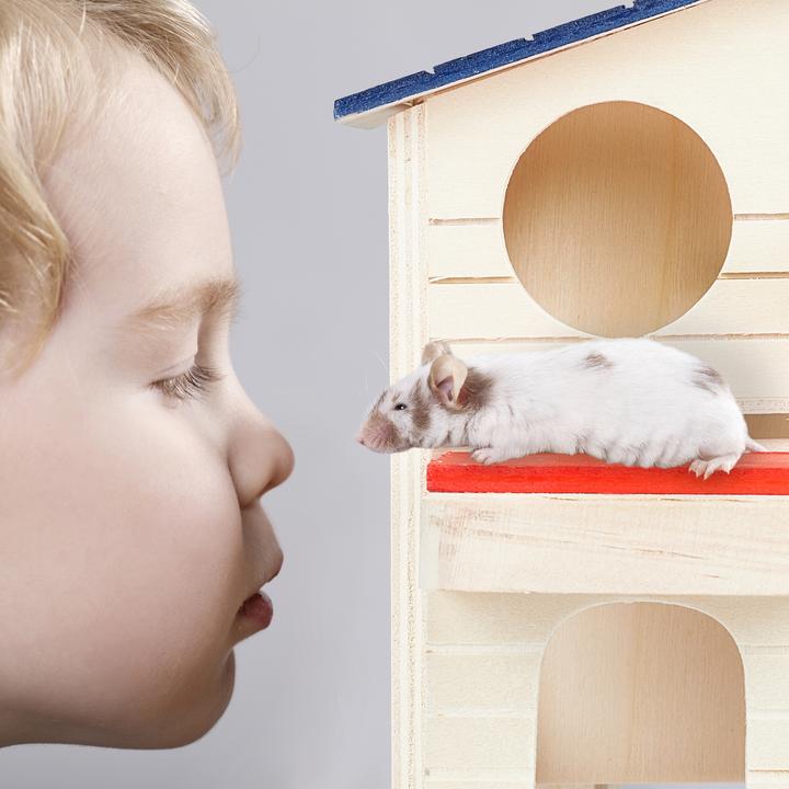 Actual product image Relaxdays Hamster House