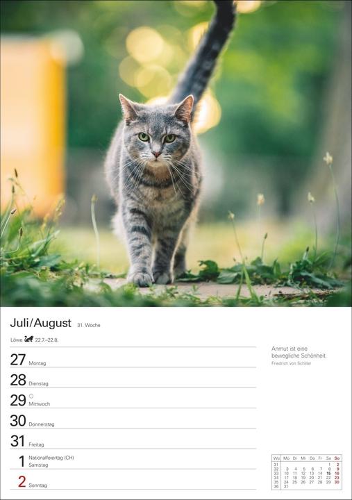 Actual product image Harenberg Katzen Wochenplaner 2026 - 53 faszinierende Fotografien (Hardcover, German)