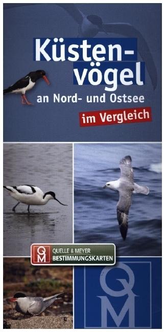 Produktbild Küstenvögel an Nord- und Ostsee im Verg