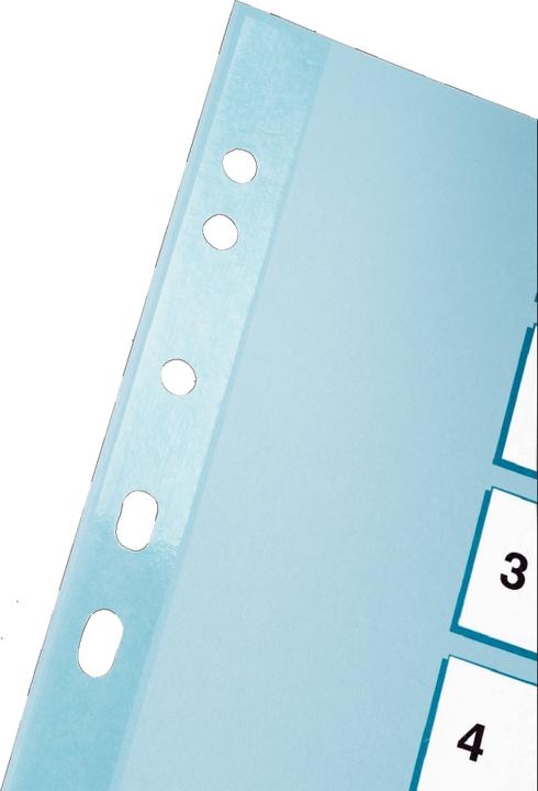Immagine prodotto Esselte Cartone registro Mylar, vari disegni, singolo