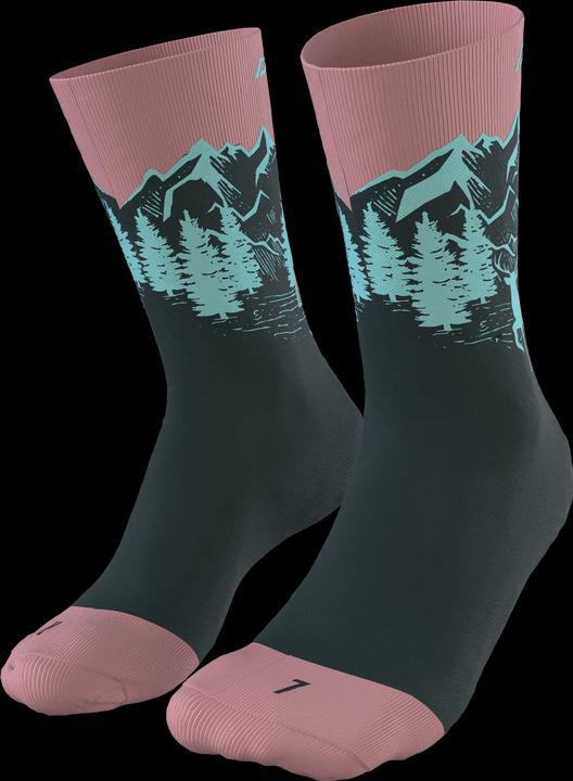 Immagine prodotto Dynafit Calzini Stay Fast Unisex (43 - 46)