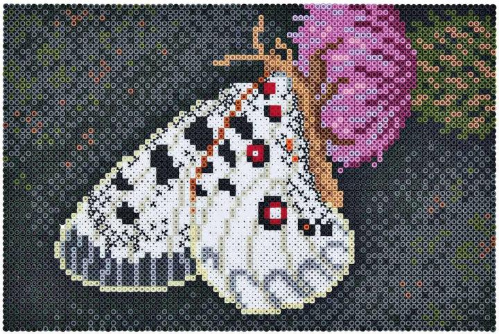Image du produit Hama 3605 Art Papillon 10000
