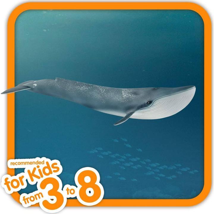 Actual product image Schleich Blue whale