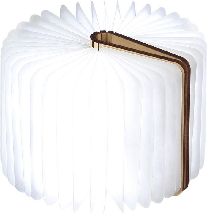 Gingko smart book